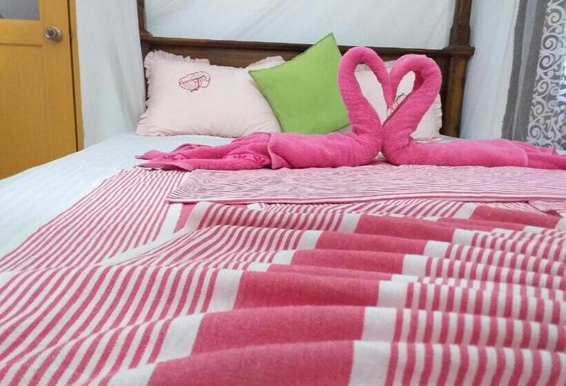 اتاق استاندارد با چشم‌انداز باغ, Mirissa Home Guest