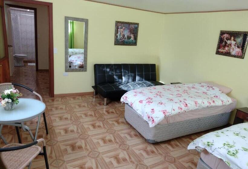 スタンダードルーム, Tierra Nueva