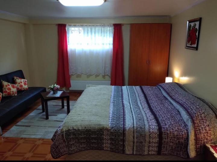 スタンダードルーム, Tierra Nueva