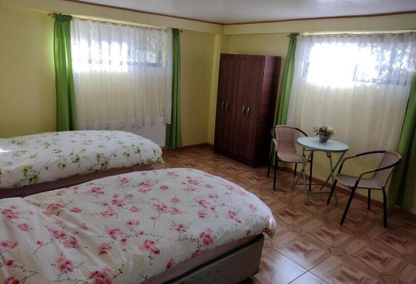 ファミリールーム, Tierra Nueva