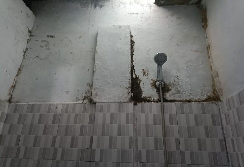 Номер Deluxe, Oyo 93408 Penginapan Annisya