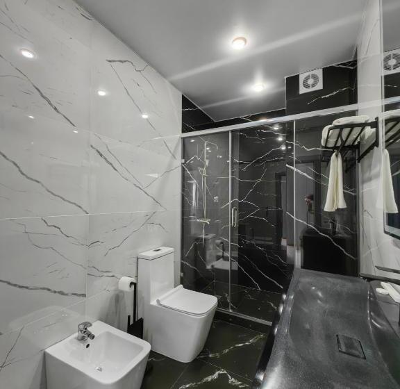 اتاق استاندارد, Shymkent Park