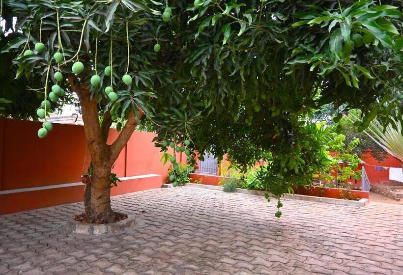 Standart Oda, Les Amazones Rouges Maison Moderne Et Chaleureuse