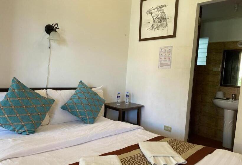 استودیوی استاندارد, Villa Apolonia Resort