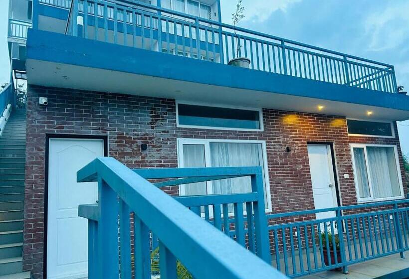 マウンテンビューファミリールーム, Wonder Mist Resorts