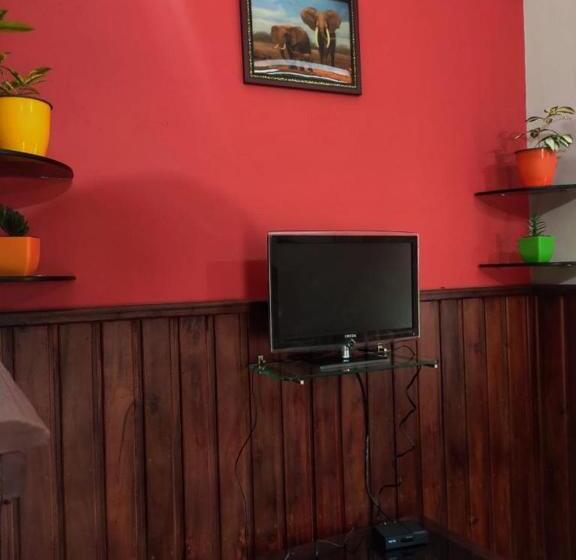 スイート(家族用), Moonlight