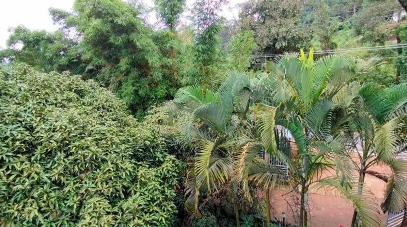 バルコニー付きスタンダードルーム, Moonlight