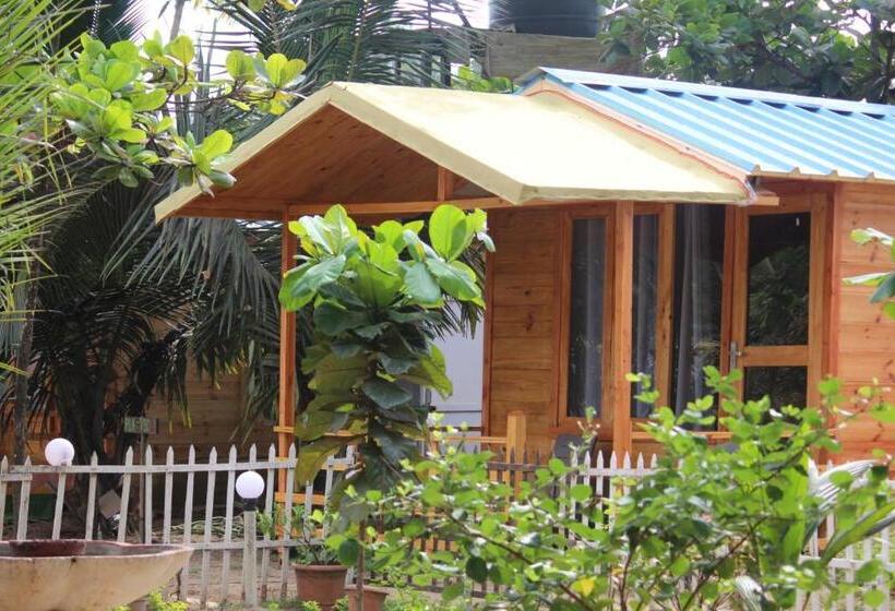 Standardrum Trädgårdsutsikt, Basho Beach Resort