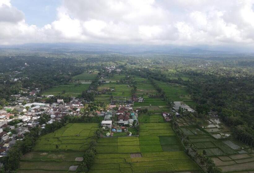 Номер Superior Кровать Кинг, Green Orry Inn Tetebatu