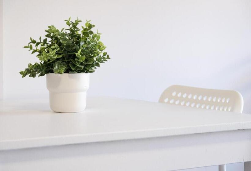 스탠다드 테라스 룸, Hostal Antiguo Palacio Hotel París