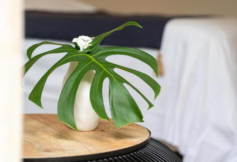 استودیو استاندارد با تخت کینگ, Le Moma By The Ocean