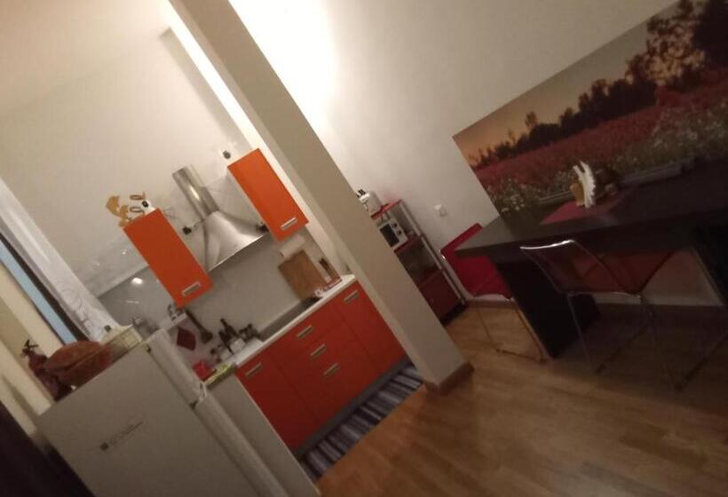 스탠다드 룸, Orchidea Camera Privata Nell Appartamento Condiviso