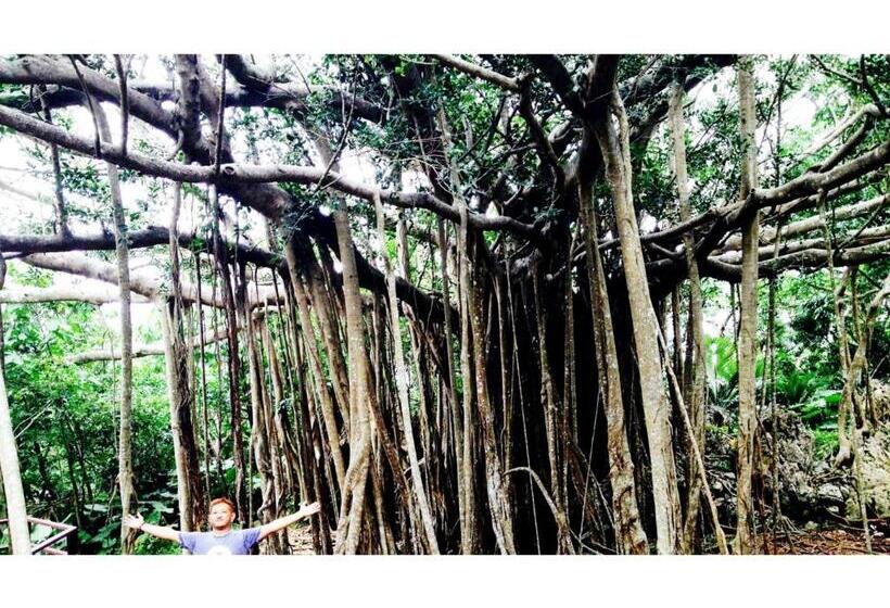 منزل غرفة نوم واحدة, Umi To Hoshizora No Chisana Yado Wassa Wassa   Vacation Stay 86554v