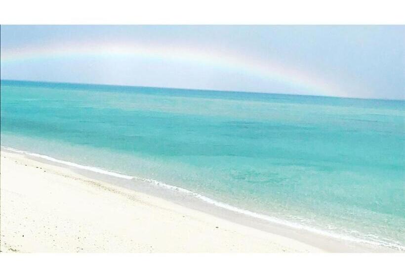 منزل غرفة نوم واحدة, Umi To Hoshizora No Chisana Yado Wassa Wassa   Vacation Stay 86554v