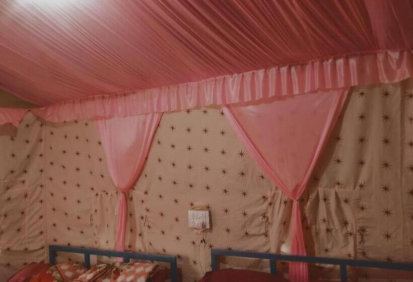 标准间, 360 Nature View