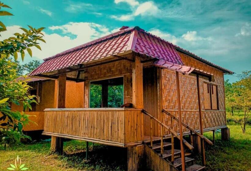 اتاق سوپریور با تخت بزرگ, Sawasstika Eco Park Resort