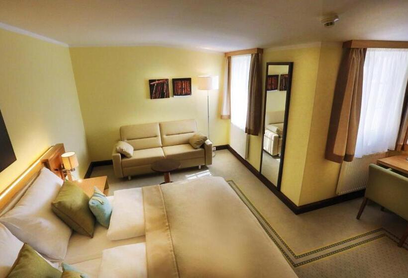 חדר פרמיום, Leobersdorfer Hof