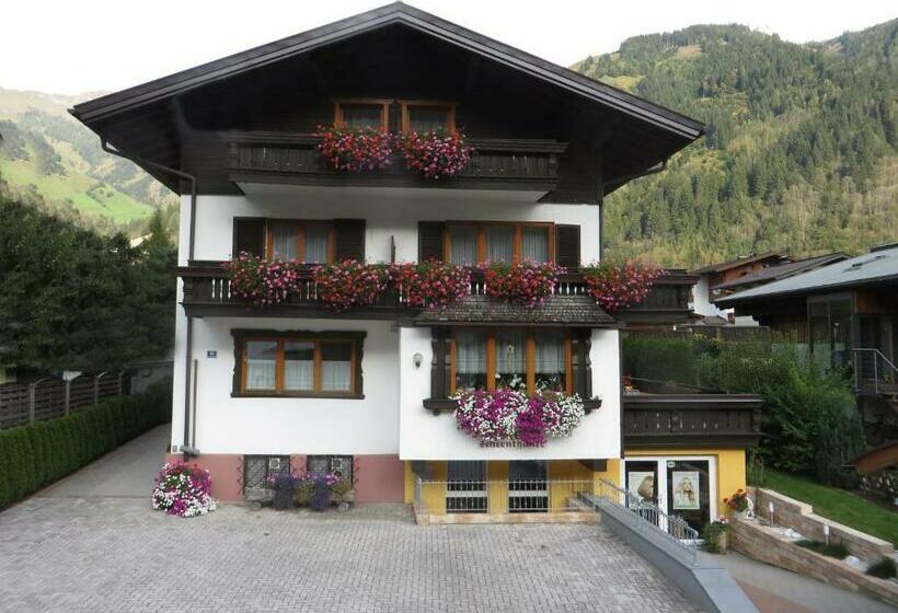 اتاق استاندارد یک تخته با بالکن, Pension Theresia