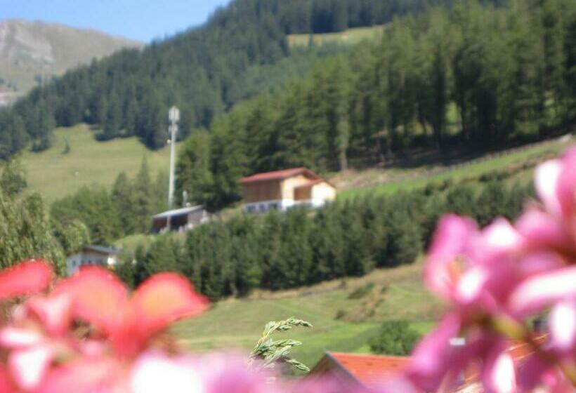 آپارتمان 1 خوابه همکف, Alpenrose Apart