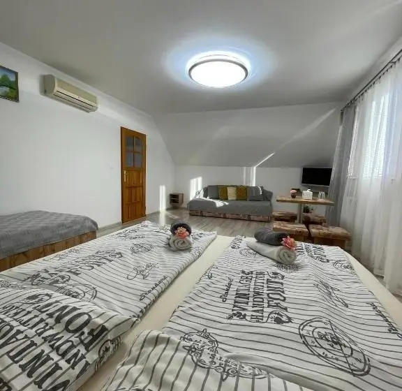 Deluxe Neljän Hengen Huone, Penzion Dori