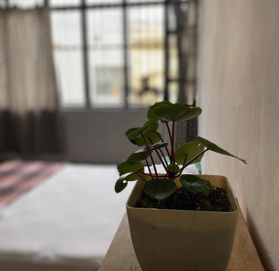 스탠다드 룸 공동 욕실, Casita Hostel
