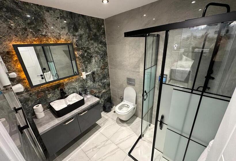 غرفة قياسية, Blue Moonrise