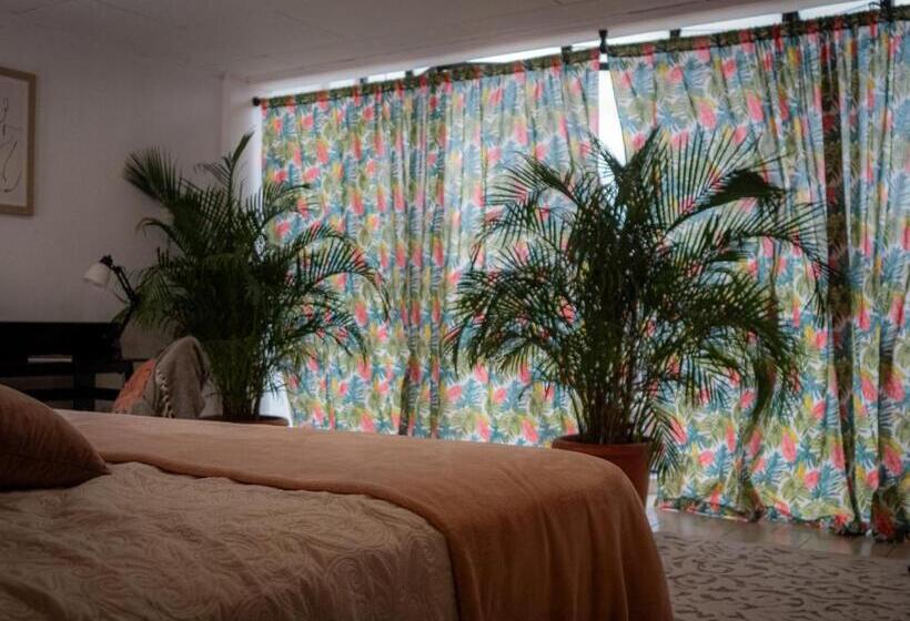 اتاق لوکس, Lolas Hostal Apartamento Equipado