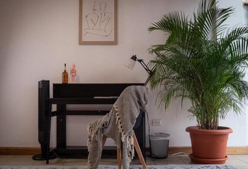 اتاق لوکس, Lolas Hostal Apartamento Equipado