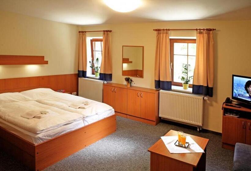 חדר סטנדרט לארבעה, Penzion čítkův Mlýn