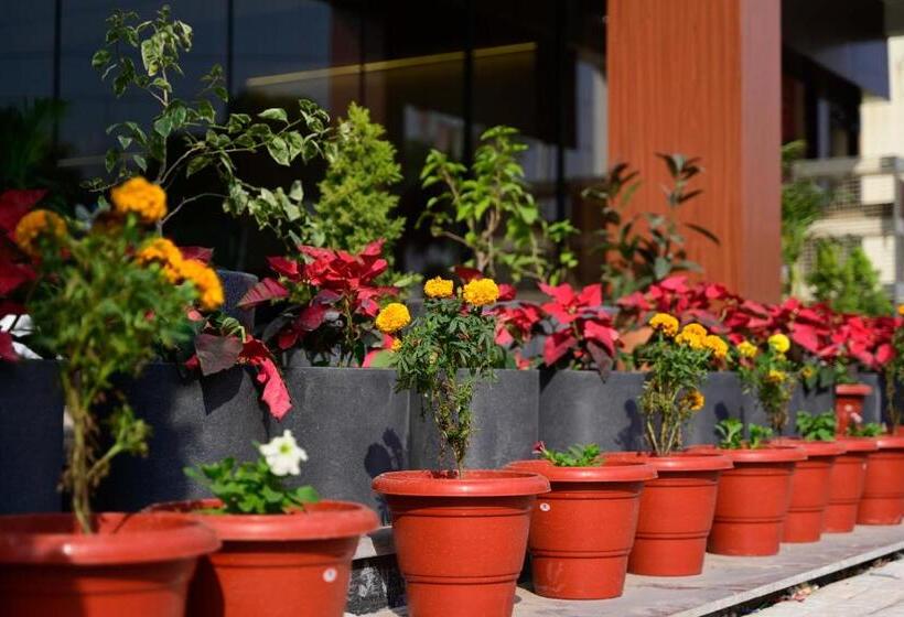 غرفة سوبيريور, The Park Gate