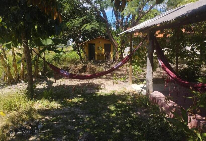 Номер Стандарт, Espaço Prisma