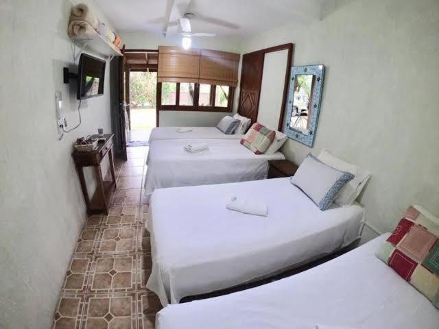 4인용 스탠다드 룸, Green House