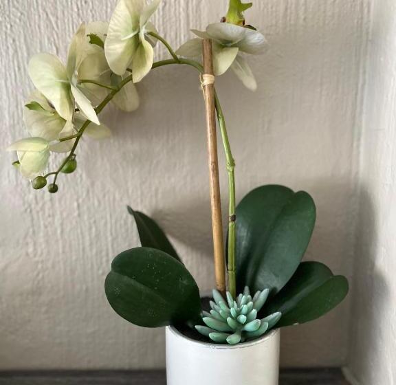 Deluxe Værelse, Morningmist Boutique