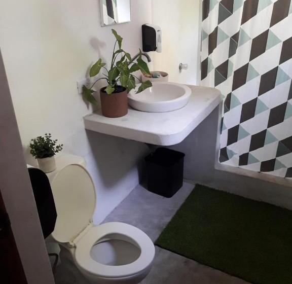 تختخواب در اتاق مشترک, Backpackers Hostel