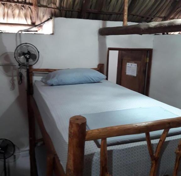 تختخواب در اتاق مشترک, Backpackers Hostel