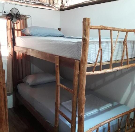 تختخواب در اتاق مشترک, Backpackers Hostel