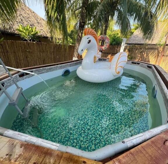 تختخواب در اتاق مشترک, Backpackers Hostel