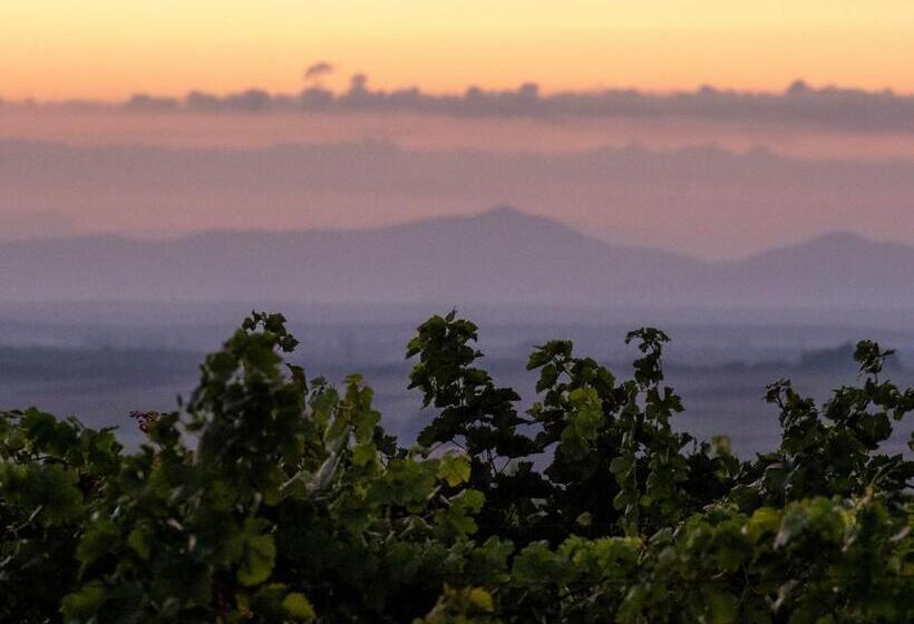 标准间, Weingut & Gästezimmer Zillinger