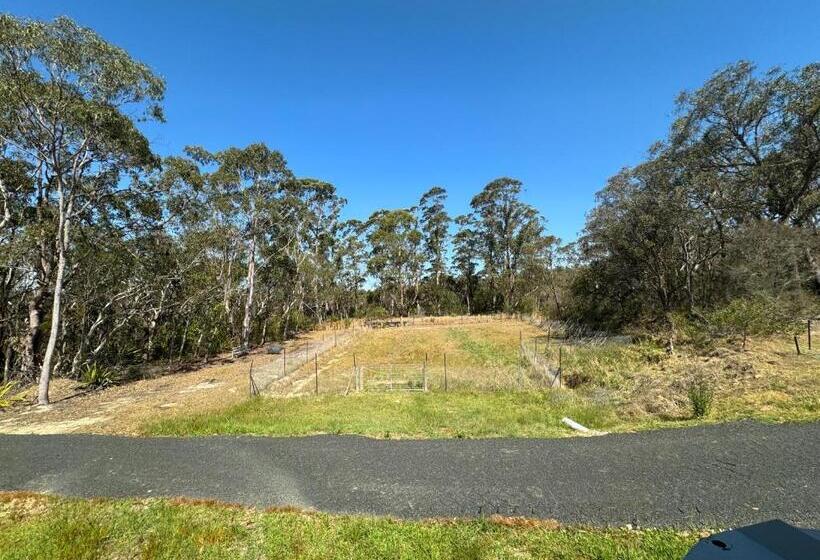 Шале 1 Спальня, Sydney Farm Stay Live With Nature And Animals