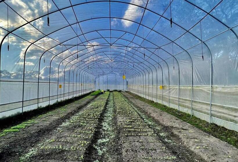 Quarto Familiar, Sydney Farm Stay    Live With Nature And Animals