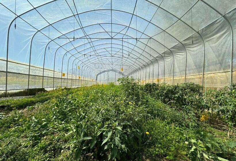 Шале 1 Спальня, Sydney Farm Stay Live With Nature And Animals