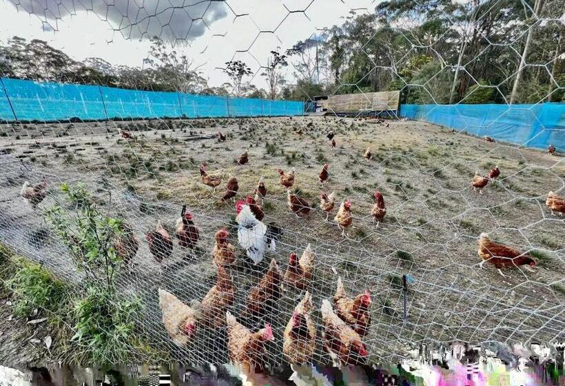 Семейный Номер, Sydney Farm Stay Live With Nature And Animals