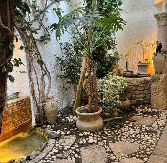 1间卧室的房子, The Cypresses