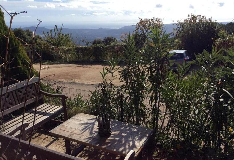 1间卧室的房子, A Tigliola