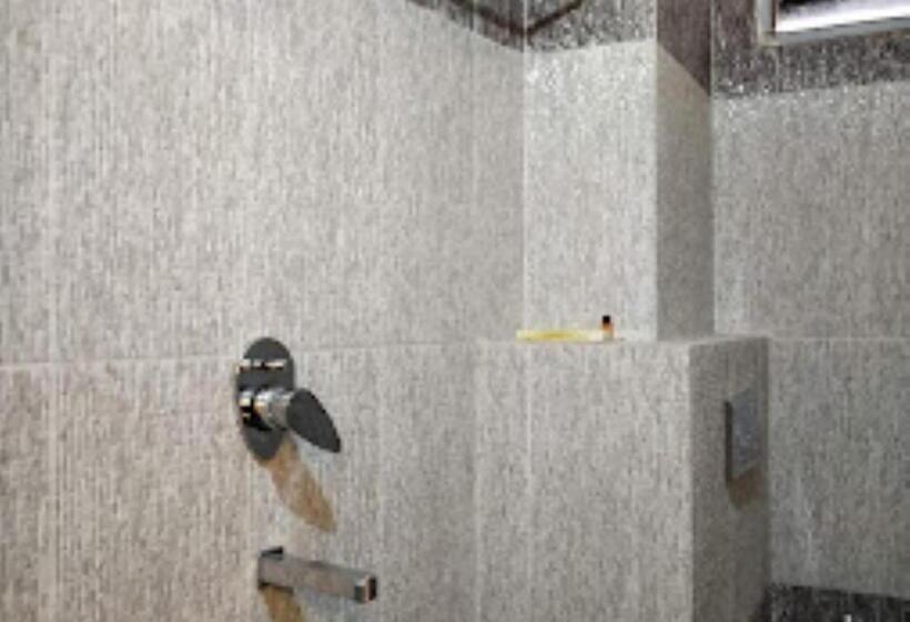 غرفة ديلوكس, Anand International Bihar