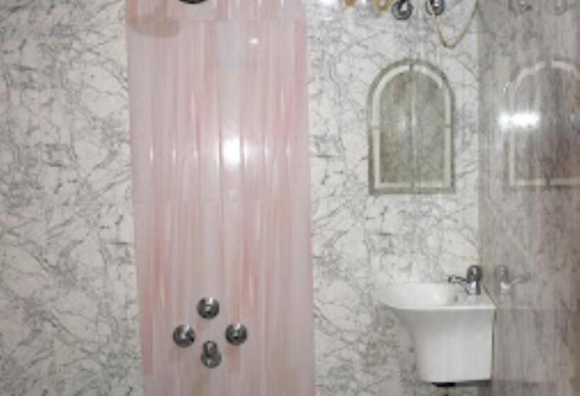 غرفة ديلوكس, Anand International Bihar