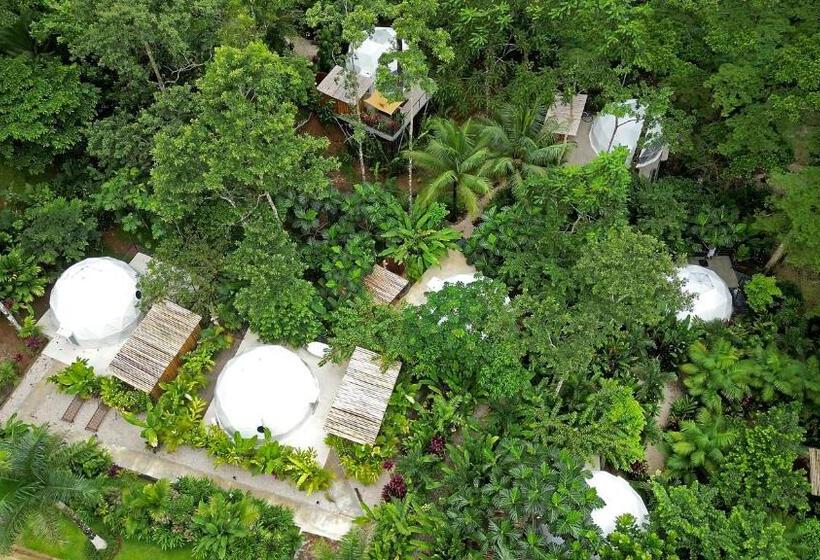 Люкс Кровать Кинг, Palo Alto Glamping