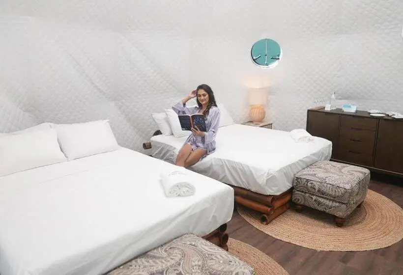 Perhesviitti, Palo Alto Glamping