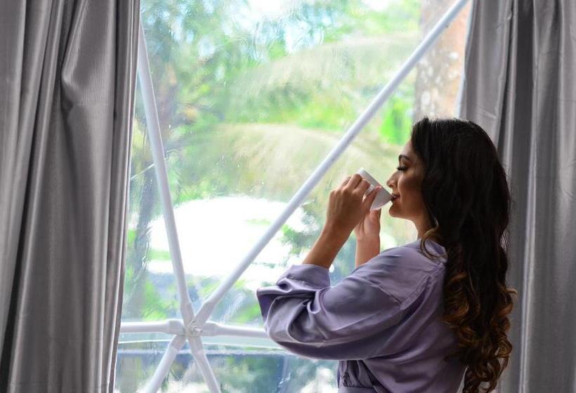 Family Suite, Palo Alto Glamping