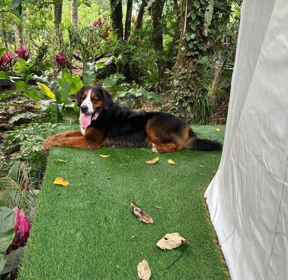 Family Suite, Palo Alto Glamping